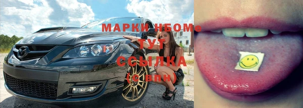 spice Богородицк